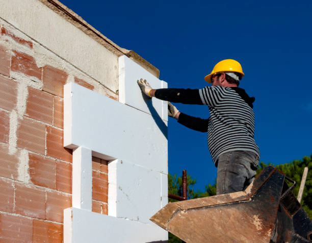 Best Cellulose Insulation in Century, FL