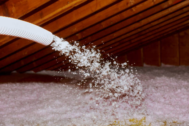 Best Residential Insulation in Century, FL