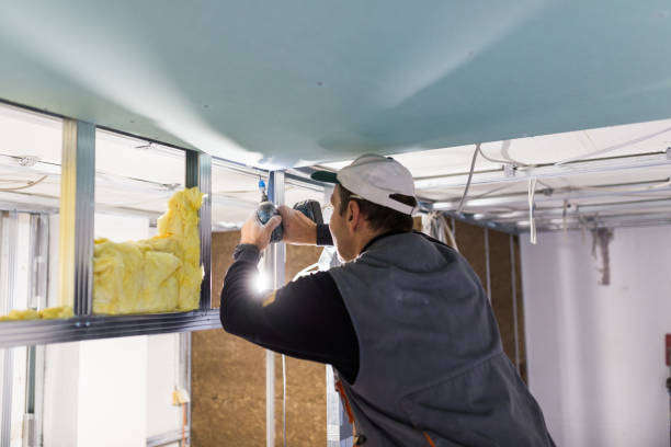 Best Geographic-Specific Insulation Services in Century, FL