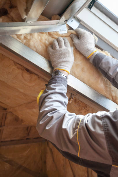 Best Insulation Maintenance and Repair in Century, FL