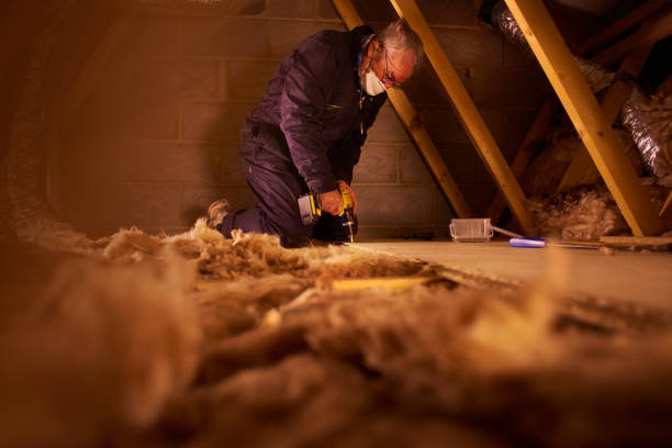 Best Specialized Insulation Services in Century, FL