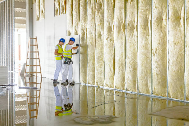 Types of Insulation We Offer in Century, FL
